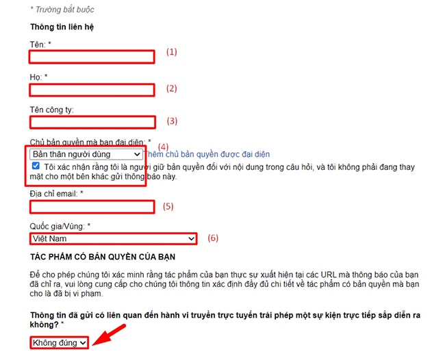 Nhập thông tin để report website